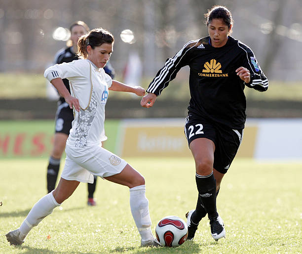 多项大型活 多项大型活